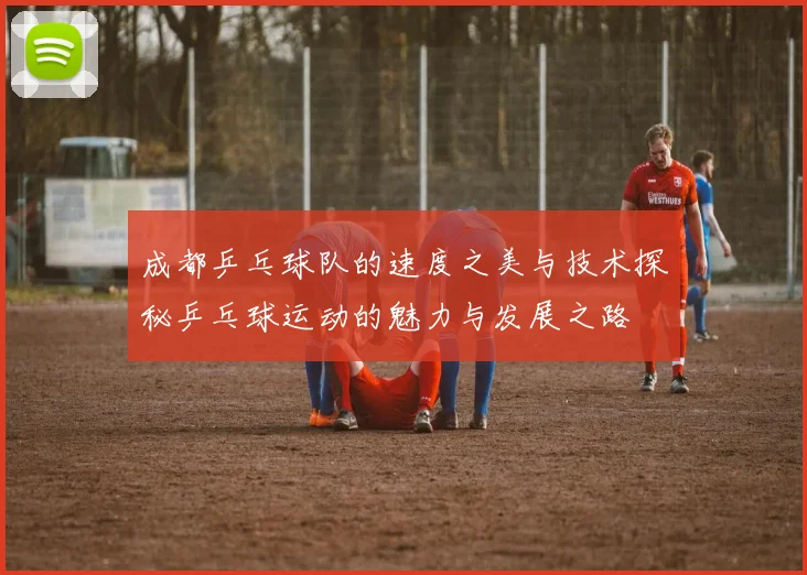 成都乒乓球队的速度之美与技术探秘乒乓球运动的魅力与发展之路
