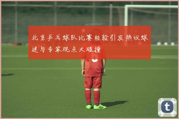 北京乒乓球队比赛经验引发热议球迷与专家观点大碰撞